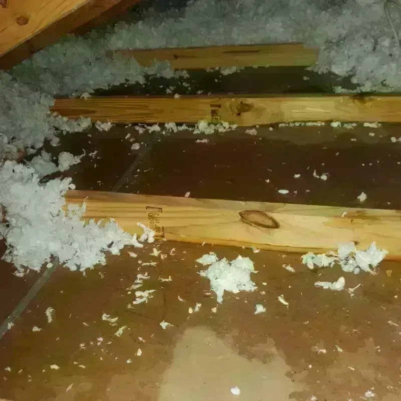 Attic Water Damage in Shelby County, MO