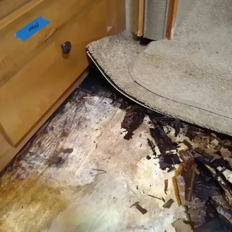 Wood Floor Water Damage in Shelby County, MO